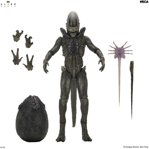 ALIEN EARTH - 7 INCH SCALE ACTION FIGURE - ULTIMATE XENOMORPH