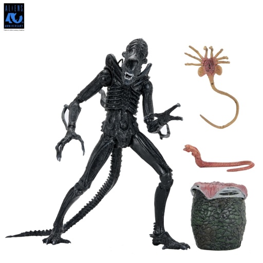 Aliens - 7" Scale Action Figure - 40th Anniversary Ultimate Warrior Xenomorph (Black)