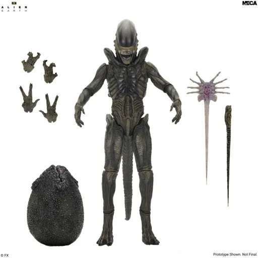 ALIEN EARTH - 7 INCH SCALE ACTION FIGURE - ULTIMATE XENOMORPH